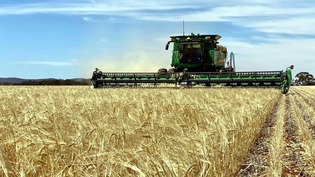 Nông nghiệp lúa mạch của Úc
