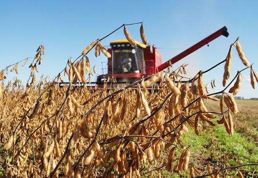 Brazil ứng dụng công nghệ trồng đậu nành
