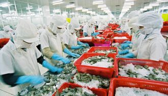 EU-Thị trường tiêu thụ thủy hải sản lớn trên thế giới