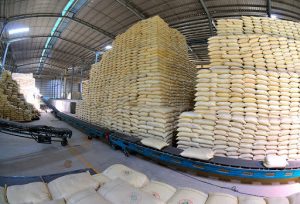 Gạo Việt xuất khẩu với giá cao nhờ nâng cao chất lượng