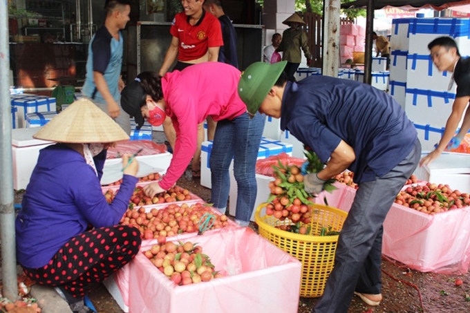 Thị trường nông sản tại Việt Nam
