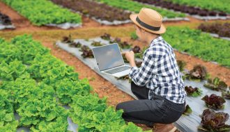 Hàn Quốc phát triển nguồn nông sản sạch tốt cho sức khỏe con người