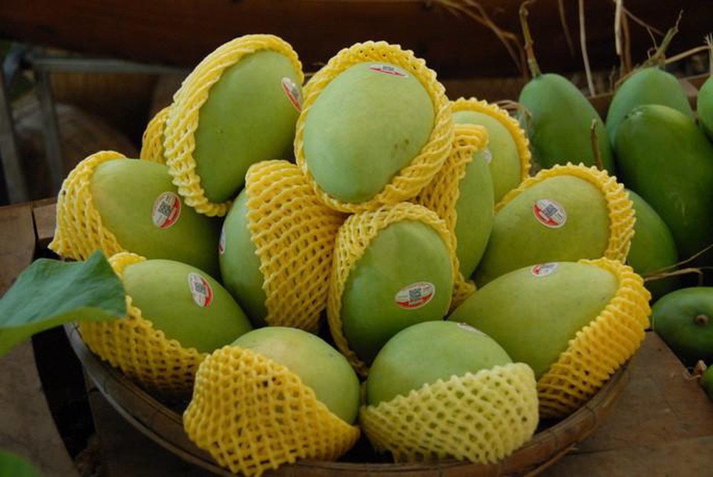 Vị thế trái cây Việt Nam trên thị trường thế giới