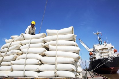 Tình hình xuất khẩu gạo cũng chịu chung số phận