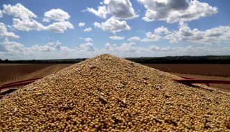 Trung Quốc tăng cường thu mua đậu tương của Brazil