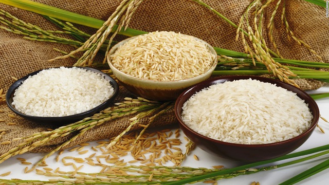 Tạo cơ hội cho lúa gạo Việt Nam tới thị trường Châu Âu